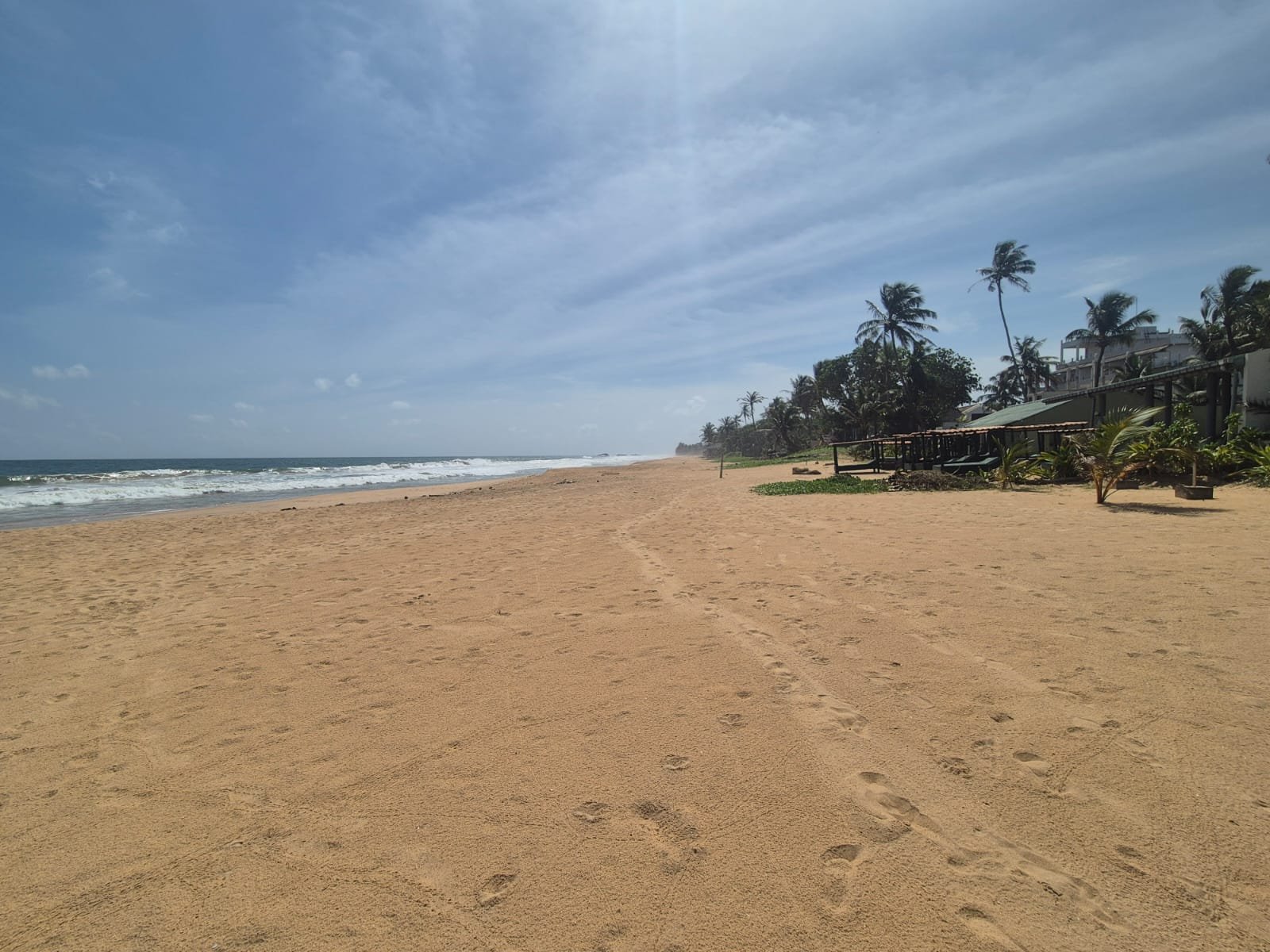 Playa de Sri Lanka con cocoteros